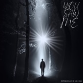 You Saw Me artwork