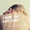 El Alma - Calma tus Emociones