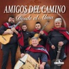 Amigos del Camino - Ayer, Hoy y Siempre