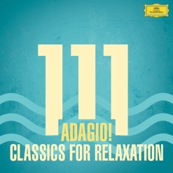 111 ADAGIO CLASSICS FOR RELAXATION cover art
