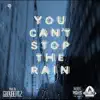You Can't Stop the Rain (Instrumental) song lyrics