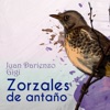 Zorzales de Antaño - Juan Darienzo - Gigi