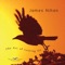 A Wall Around Your Heart - James Nihan lyrics