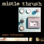 Mistle Thrush - Stupid Song