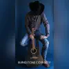 Rhinestone Cowboy - Single album lyrics, reviews, download