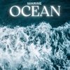 Ocean - Single