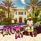 Rich Lit (Radio Edit) artwork