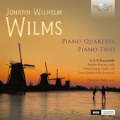 Wilms: Piano Quartets & Piano Trio artwork