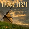Franz Liszt - Beautiful Piano Pieces