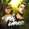 Pal Carajo - Single album lyrics, reviews, download