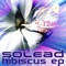 Hibiscus - Solead lyrics