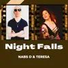 Night Falls - Single album lyrics, reviews, download