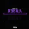 Fiera (feat. YLEN) - Single album lyrics, reviews, download