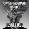 Organiziran Haos