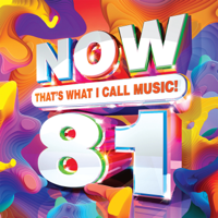 NOW That's What I Call Music! Vol. 81 - Various Artists Cover Art