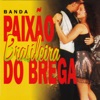 Banda Paixão Brasileira do Brega