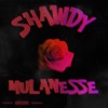 Shawdy - Single