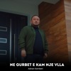 Ne gurbet e kam nje vlla - Single