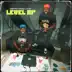 Level Up album cover