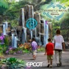EPCOT Journey of Water, Inspired by Moana - Single