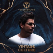 Tomorrowland Winter 2023: Vintage Culture at Mainstage (DJ Mix) artwork