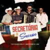 Secretária De Sucesso (Ao Vivo) - Single