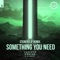 Something You Need (Stereoclip Remix) artwork