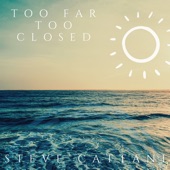 Steve Cattani - Too Far Too Closed