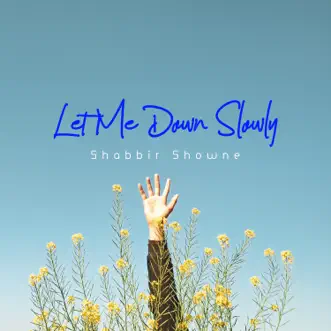 Let Me Down Slowly (Lofi Remix) by Shabbir Showne & Alec Benjamin song reviws