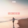 Here Comes The Sun - Single