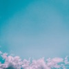 Skies - Single