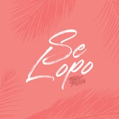 Se Lopo artwork