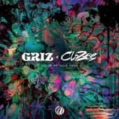 Color of Your Soul by Griz