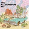 The Kaleidoscope Kid - The Kaleidoscope Kid lyrics