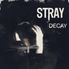Decay - Single