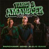 Vamos a Amanecer (Remix) - Single