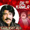 Dil Kamla - Single album lyrics, reviews, download