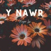 Y Nawr - Single