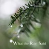 What the Rain Said - Single