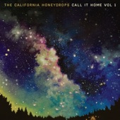 The California Honeydrops - Live Learn
