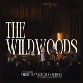 The Wildwoods - West Virginia Rain - Live
