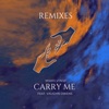 Carry Me (Remix) - Single