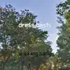Dress Beats song lyrics