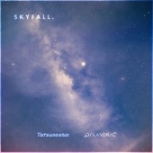 Skyfall artwork