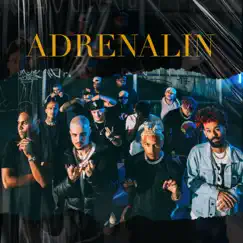 Adrenalin - Single by Limera, Aka Rasta & Mattyahu album reviews, ratings, credits
