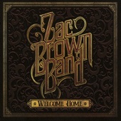 Zac Brown Band - Start Over