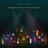 Congotronics International - The Chief Enters Again feat. Deerhoof,Juana Molina,Kasai Allstars,Konono No 1,Wildbirds & Peacedrums,Skeletons