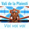 Vai vai vai - Single