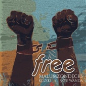 Free (feat. Skye Wanda) artwork