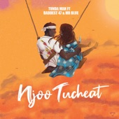 Njoo Tucheat (feat. Mr Blue & Baddest 47) artwork